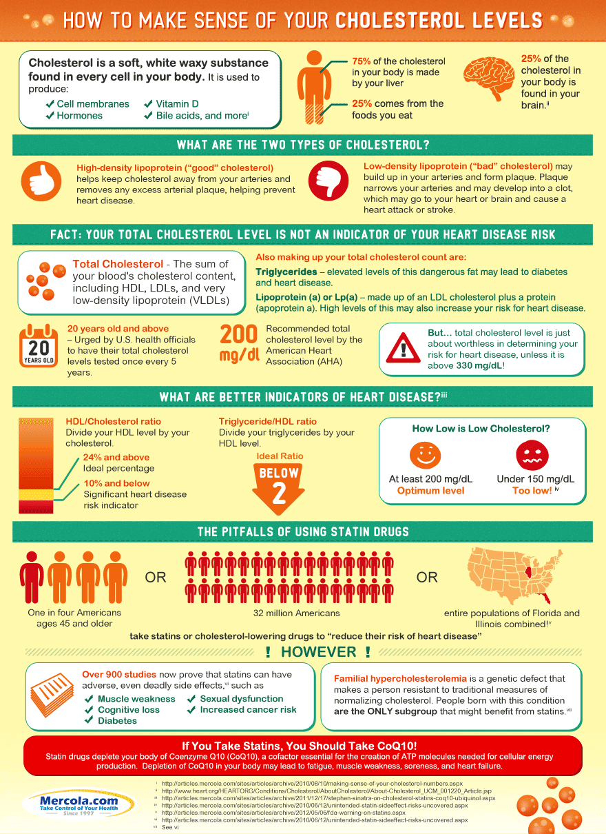 cholesteral infographic